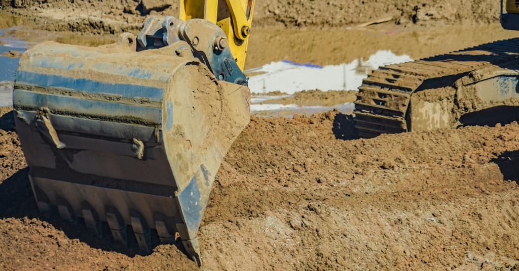 Tree Root Management